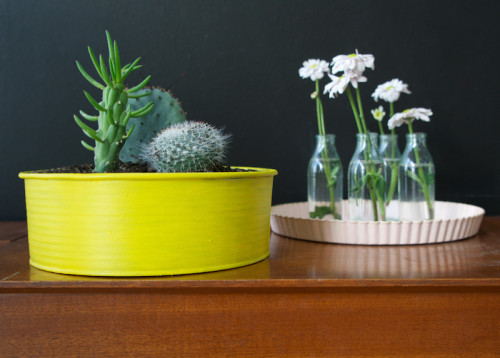diy project, upcycling homeware, diy cake tin, pot plants, diy planters, upcycling bakeware