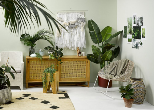 green, living room