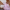 gold, pink, metallics, children