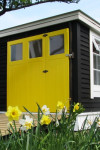 Hello yellow, hello sunshine