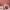 pink colour palette, table display, interior styling, pink paint, Resene Glorious, table, tone