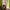 green, hallway, hall, entranceway, peach, citron