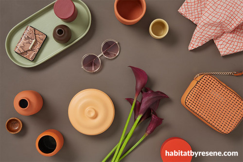 new neutrals, vase, trays, neutral decor inspiration, green, orange, purple, Resene 