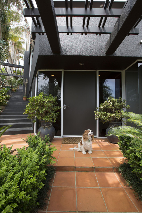 front door, entranceway, 1980s house, contemporary home, black painted exterior