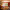 kitchen walls, red, paint ideas, paint trends, bold paint