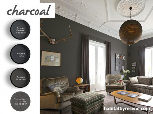 dark grey lounge, charcoal paint, living room, shades of grey, interior, home decorating ideas 