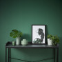green feature wall, study, office, nook, resene mother nature, tonal greens, bold green