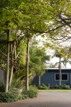 Helen and Ian’s bold coastal garden