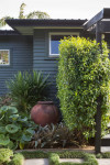 Helen and Ian’s bold coastal garden