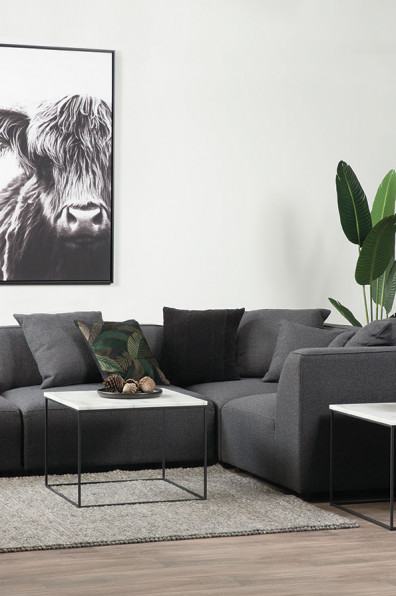 On trend: wild things