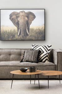 On trend: wild things