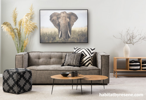lounge, living room, grey lounge, grey living room, resene archive grey, elephant print