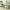 dining room, green dining room, green and white, green paint, green inspiration 