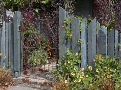 Let’s lead you up the garden path – beautiful outdoor looks