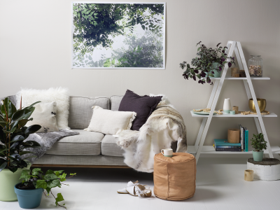 Colour from yesterday, for today 