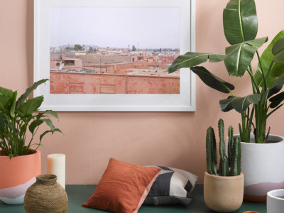 Amber's colours of travel