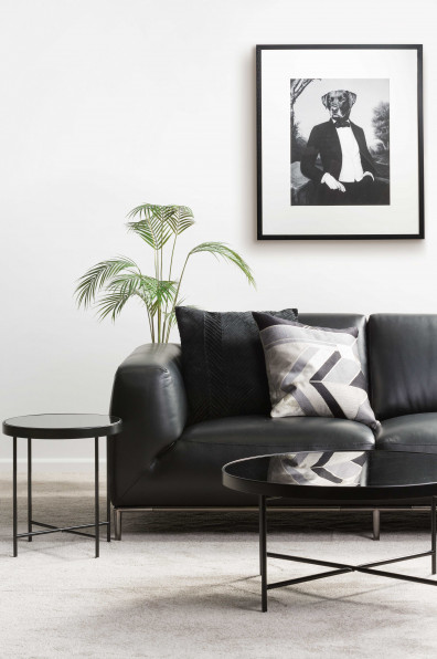 Black and white and fab all over