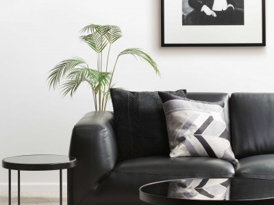 Black and white and fab all over