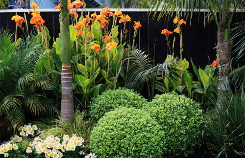 exterior, garden, fences, fencing, paint, stains