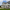 white, exterior, arts and crafts, paint ideas, paint trends