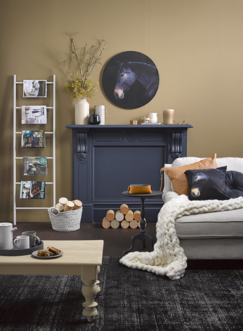 living room, brown, country, trend