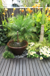 Sandra and John’s designer oasis in suburbia