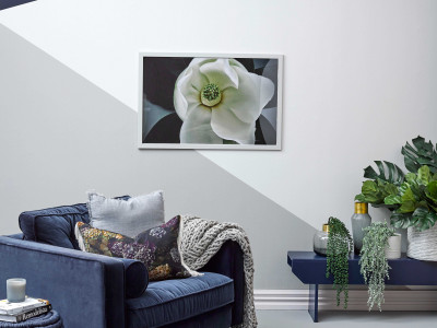 On trend: Shaping up