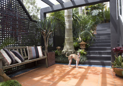 house exterior, black painted house, black outdoor steps, painting steps