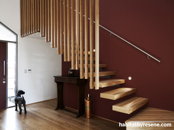 brown entranceway, wooden stairwell, brown painted wall, feature wall, interior