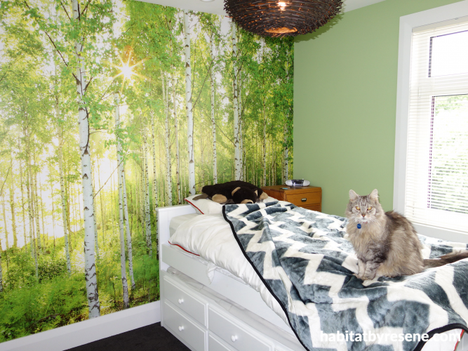 children, bedroom, kid's bedroom, green, forest wallpaper