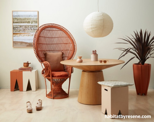 sitting room, terracotta chair, orange living, pink and terracotta, resene sunbaked