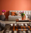 living room inspiration, lounge inspiration, colour combo, interior design, colour palette, resene