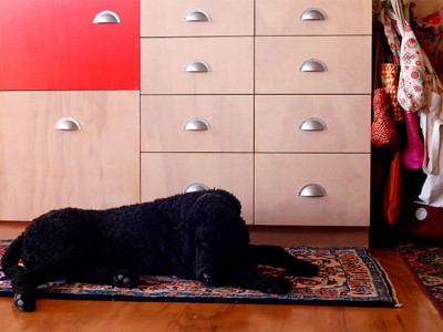 Sharon crafts a colourful haven for two Sharon crafts a colourful haven for two