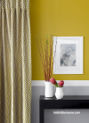 yellow, james dunlop, paint ideas, paint trends