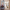 entrance, hallway, hall, blue, stencil, damask pattern