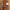neutrals, cream, entrance, entranceway, hall, hallway, painted furniture