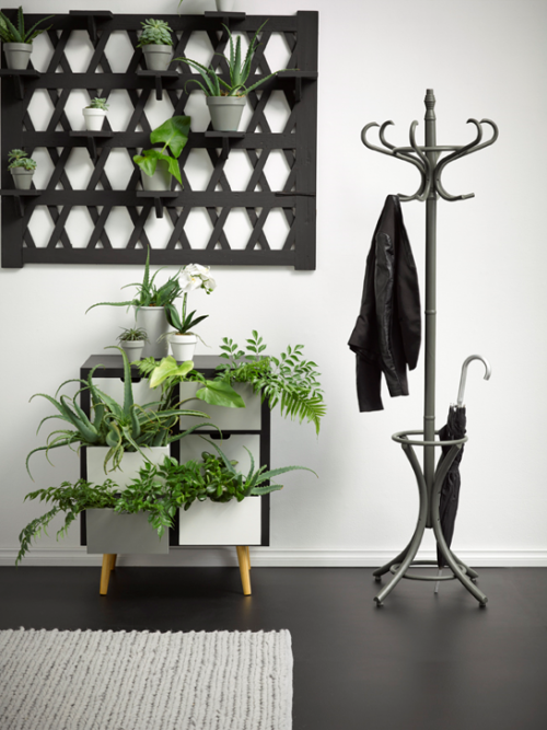 black and white interior ideas, black and white interior inspiration, entryway ideas, interior trend