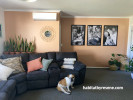 lounge, living room, orange feature wall, apricot orange, orange lounge, orange living room 