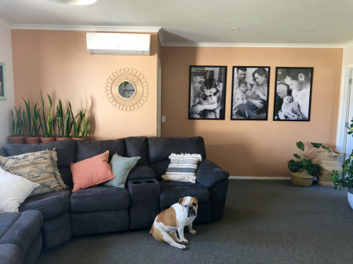 lounge, living room, orange feature wall, apricot orange, orange lounge, orange living room