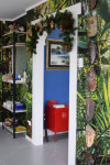 Kay’s whimsical wallpapered Morrinsville home