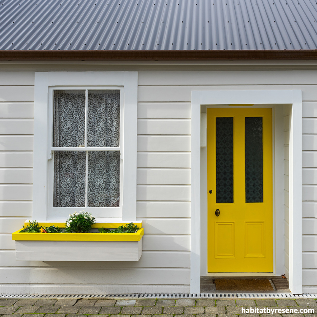 Insiders' top colour picks Habitat by Resene