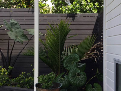 Alison and Callum get cute with colour