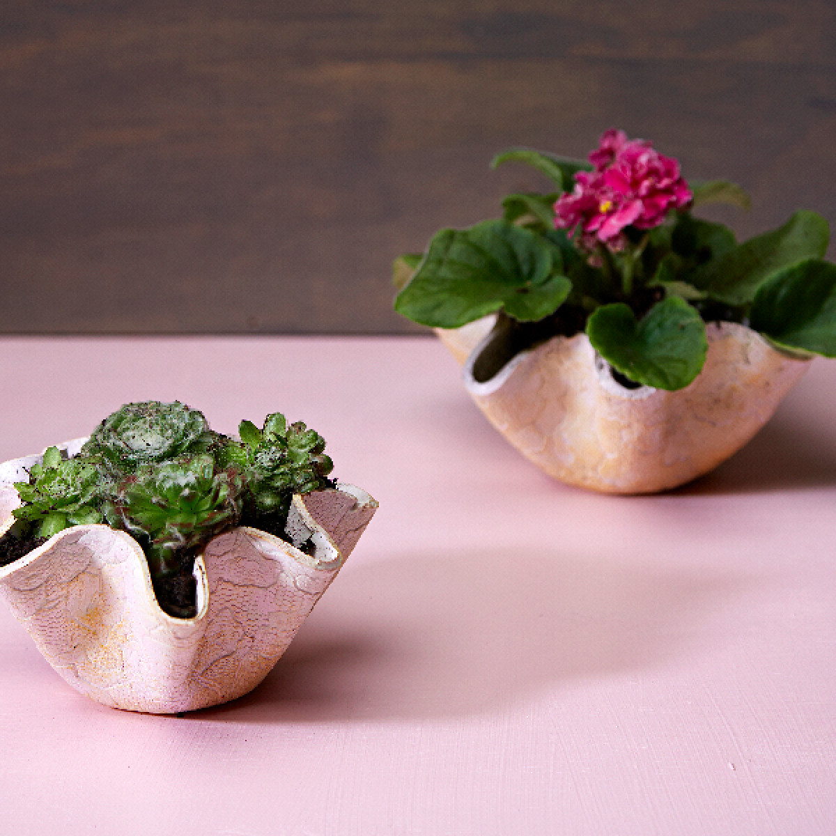 Create your own clay pots Habitat by Resene