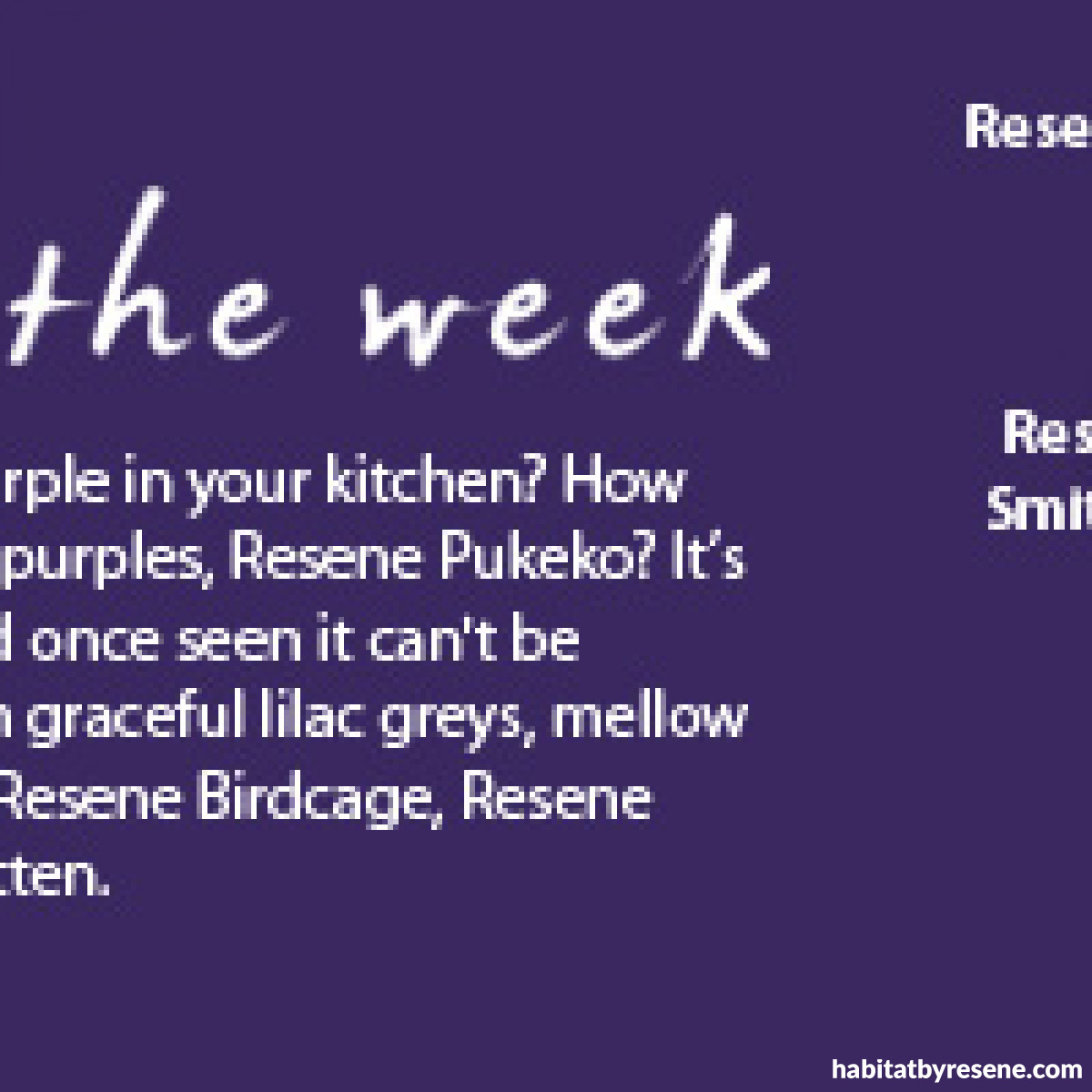 Colour of the week Resene Pukeko Habitat by Resene