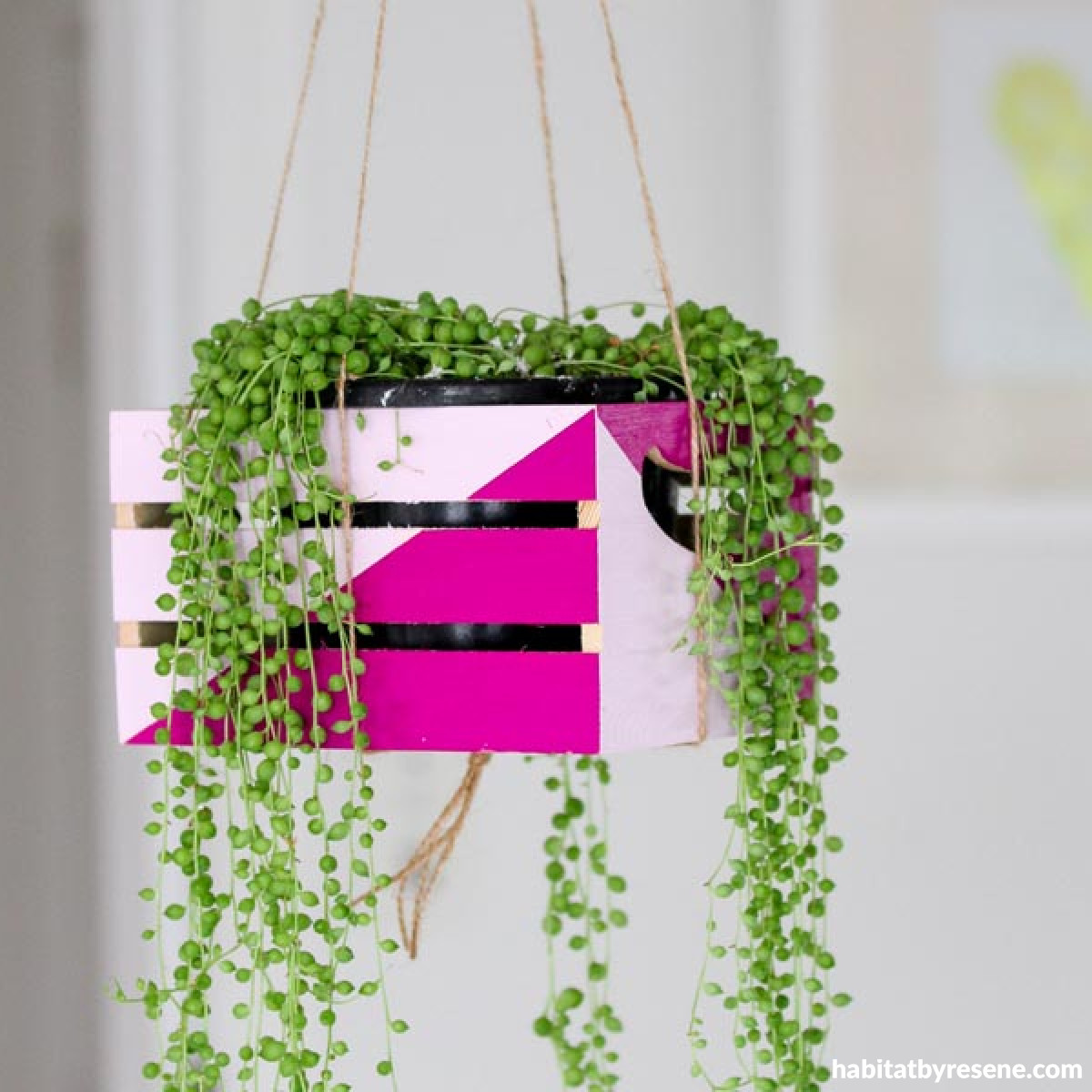 Create a hanging plant holder | Habitat by Resene