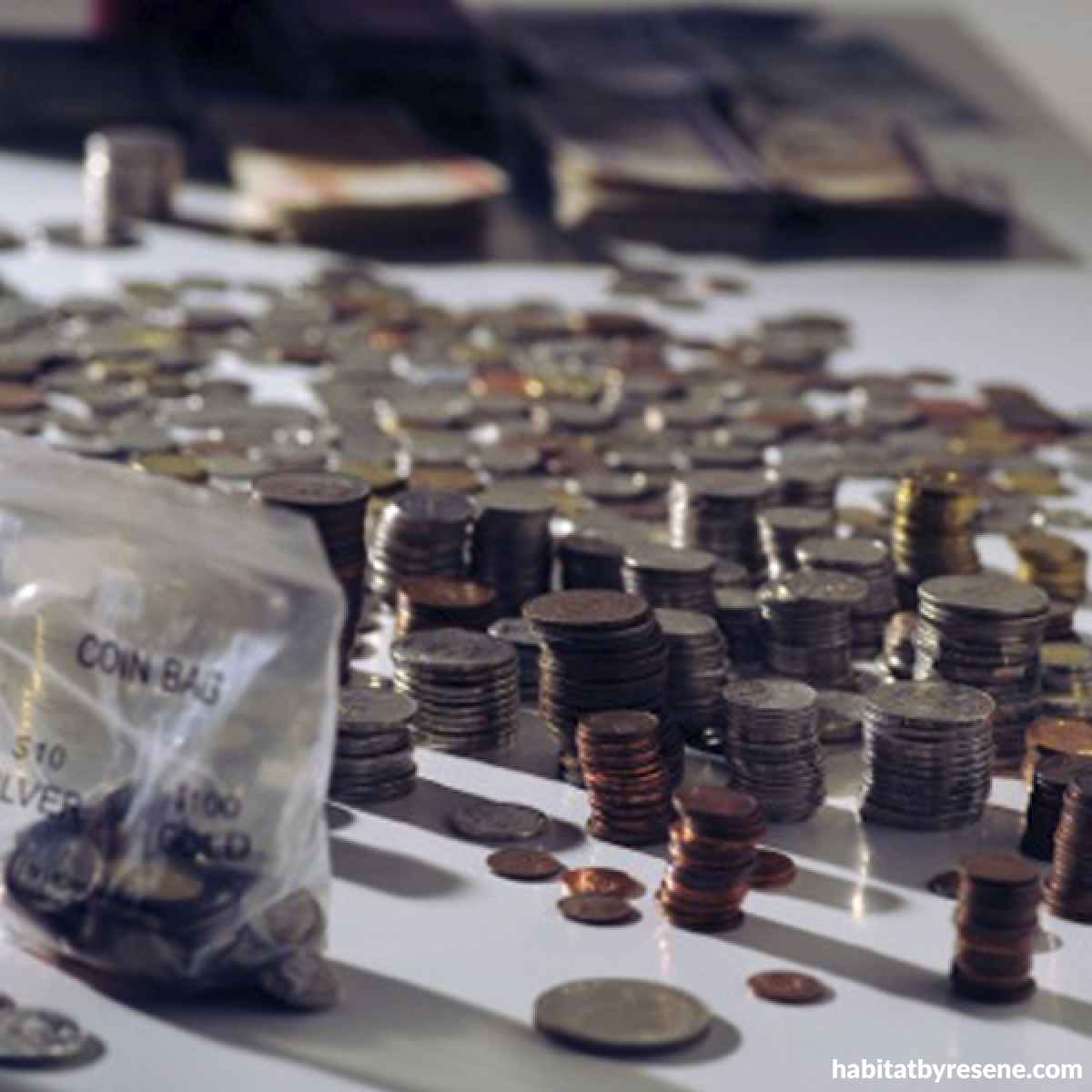 Heads Up for Kids Habitat by Resene