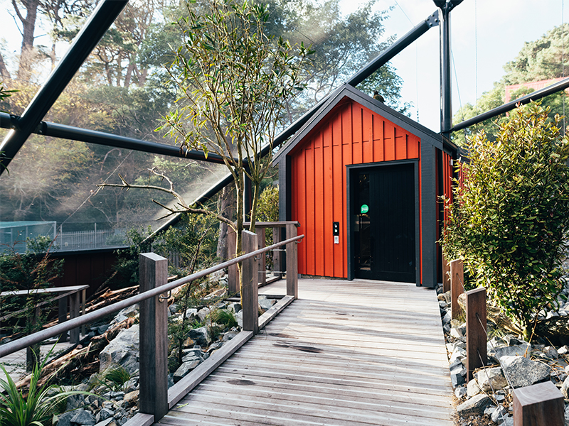 Kea Infromation Sign Wellington Zoo’s bright and interactive kea experience | Habitat by Resene