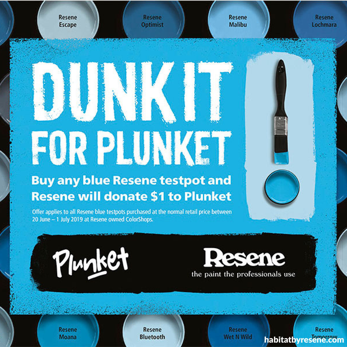 Dunk it for Plunket Habitat by Resene
