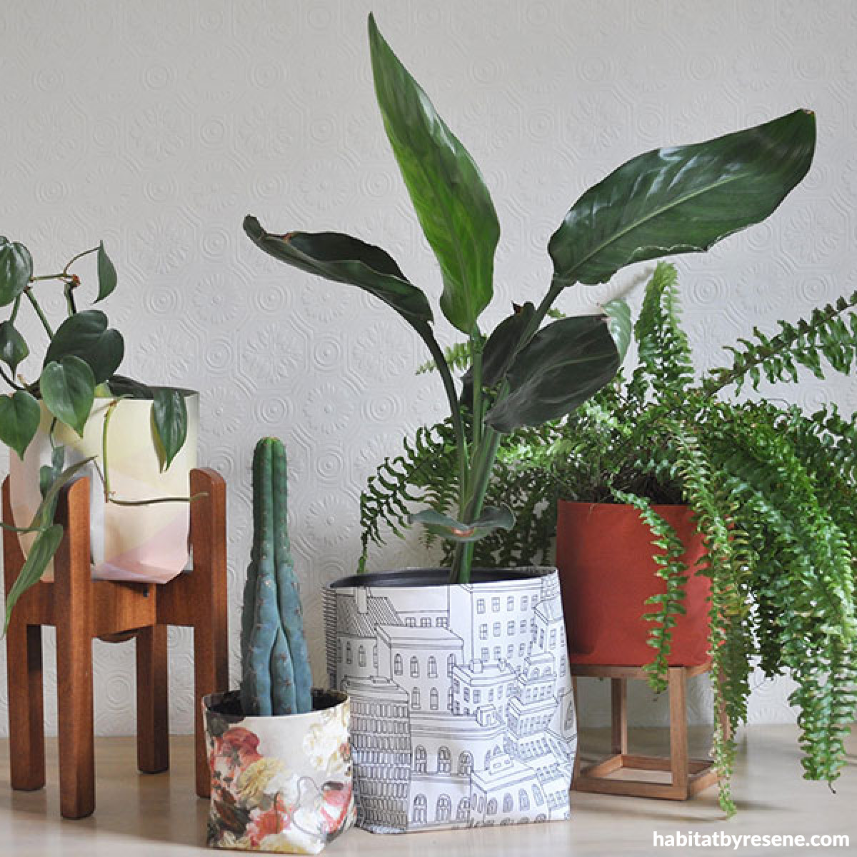 DIY wallpaper plant pot covers | Habitat by Resene