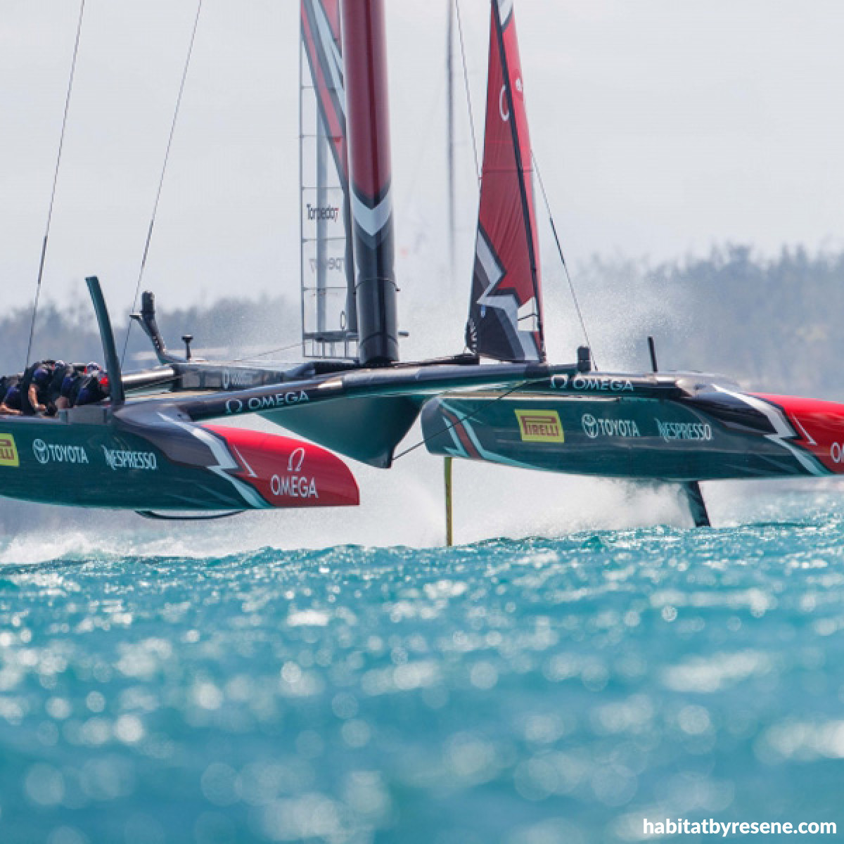 Resene paint helps Team NZ go faster | Habitat by Resene